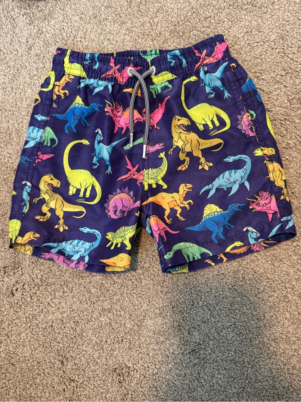 Kids Boardies Navy Dinosaur Swim Trunks